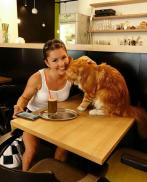 Проститутка Nicole